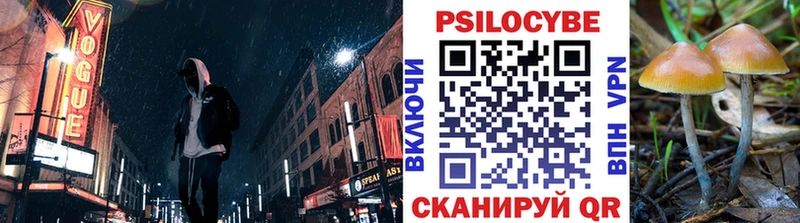 Галлюциногенные грибы Psilocybine cubensis  хочу наркоту  Пугачёв 